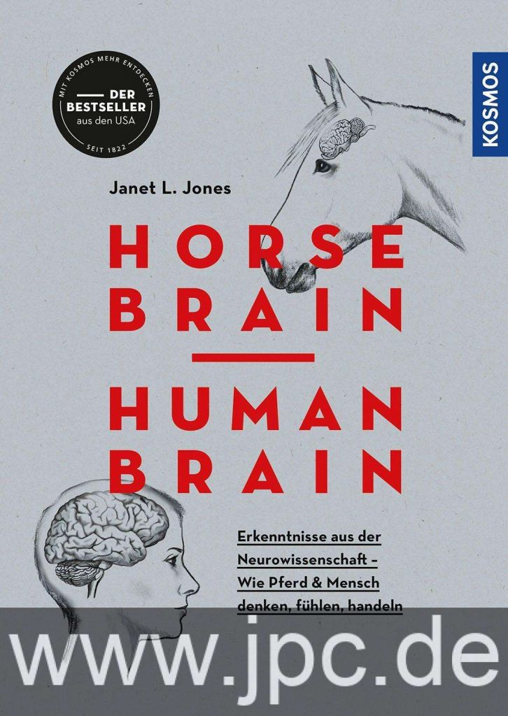 Horse brain - Human brain Fachbuch von Janet L. Jones