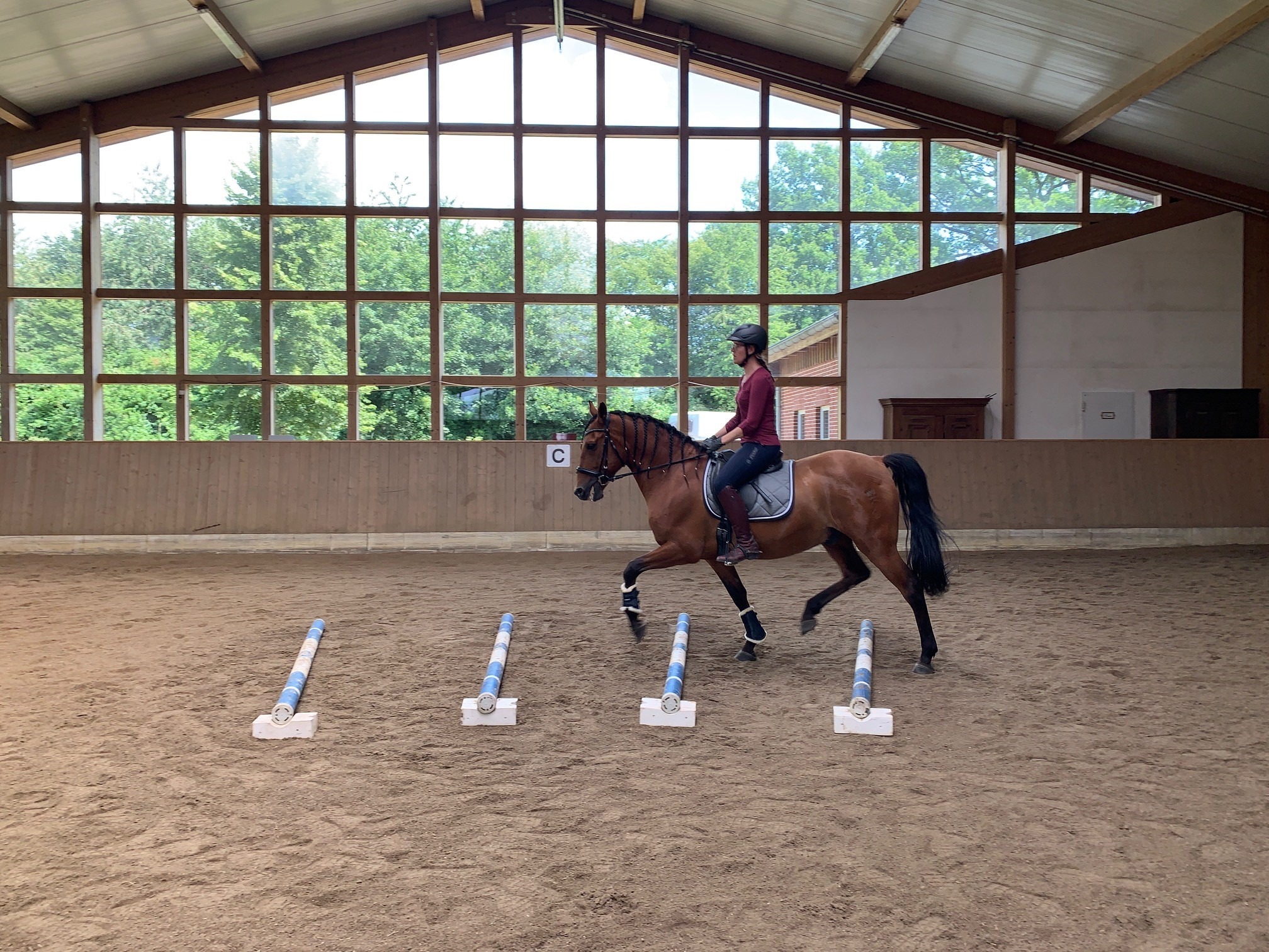 Cavaletti-Training mit Mona von Heymann